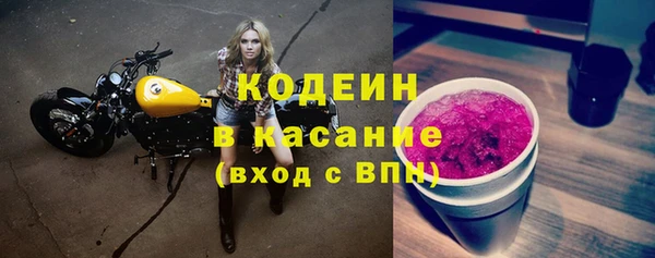прущий лед Алзамай